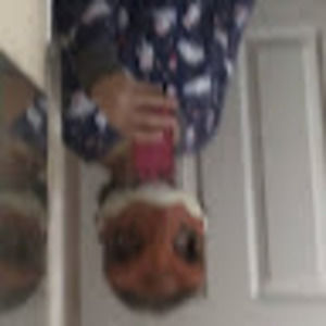 Meet your Posher, Beatrice